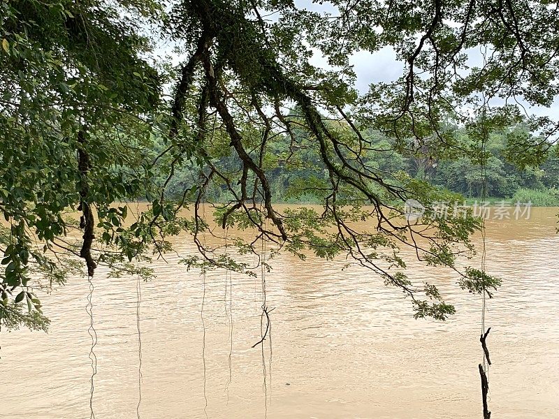 马来西亚半岛Pahang River